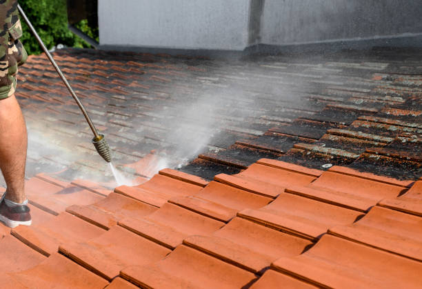 Best Pressure Washing Brick  in Catasauqua, PA